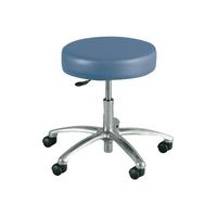 Buy Winco Deluxe Gas Lift Stool