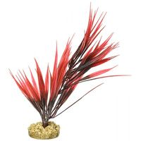 Buy Blue Ribbon Sword Plant with Gravel Base - Red