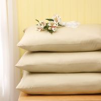 Buy Medline Nylex Ultra Reusable Pillows