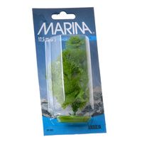 Buy Marina Aquascaper Ambulia Plant