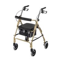 Buy Mabis DMI Ultra Lightweight Aluminum Rollator With Curved Padded Back Rest