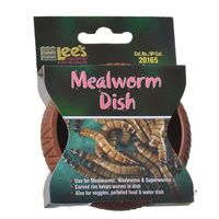 Buy Lees Mealworm Dish - Plastic