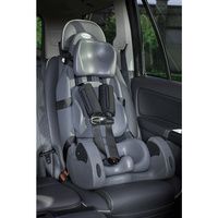 Buy Special Tomato Large MPS Car Seat
