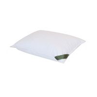 Buy SmartSilk Silk Lined Travel Pillow