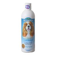 Buy Bio Groom Indulge Sulfate-Free Shampoo
