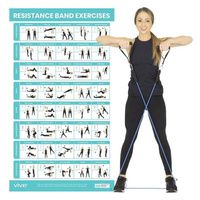 Buy Vive Resistance Band Poster
