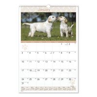 Buy AT-A-GLANCE Puppies Monthly Wall Calendar