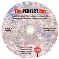 Buy Stress Stop The Perfect Day DVD