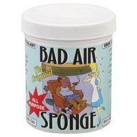 Buy Bad Air Sponge