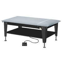 Buy Hausmann Model 4723 ADA Hi-Lo Power Plinth Table