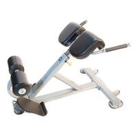 Buy The Abs Company Lumbar X Back Extension Bench