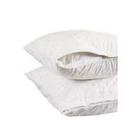 Buy Smartsilk Asthma and Allergy Friendly The Pillow Protector