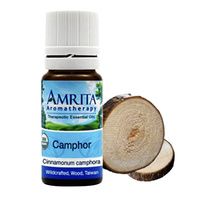 Buy Amrita Aromatherapy Camphor Essential Oil