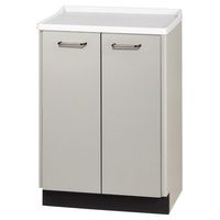 Buy Clinton Molded Top Treatment Cabinet with Two Doors