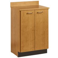 Buy Clinton Treatment Cabinet with Two Doors