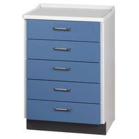 Buy Clinton Molded Top Treatment Cabinet with Five Drawers