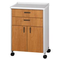 Buy Clinton Molded Top Mobile Treatment Cabinet with Two Doors and Two Drawers