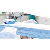 Buy Ecolab Absorbent Surgical Table Sheet