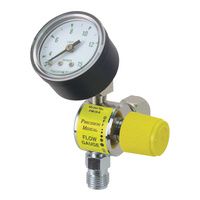 Buy Precision Medical Flow Gauge with Female Hex Nut