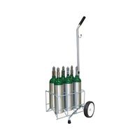 Buy Responsive Respiratory Six Cylinder M6 Cylinder Cart