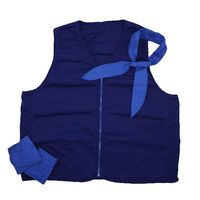 Buy Polar Cool Comfort Deluxe Cooling Vest Kit