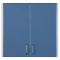 Buy Clinton Single Wall Cabinet with Two Doors