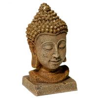Buy Blue Ribbon Exotic Environments Thai Buddha Head