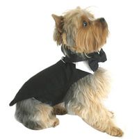 Buy Doggie Design Black Dog Harness Tuxedo With Tails Bow Tie And Cotton Collar