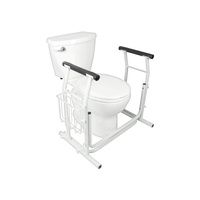 Buy Vive Stand Alone Toilet Safety Rail