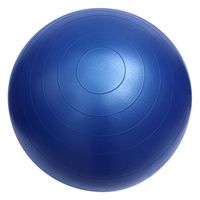 Buy Fitterfirst Classic Exercise Ball Chair