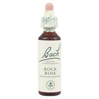 Buy Bachflower Rock Rose Homeopathic Drops