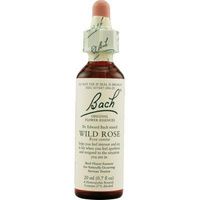 Buy Bachflower Wild Rose Homeopathic Drops