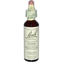 Buy Bachflower Gorse Homeopathic Drops