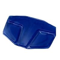 Buy Ossur Hot And Cold Therapy Gel Pad For FormFit Back Support