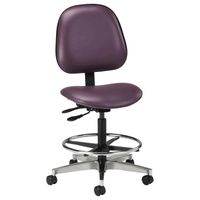 Buy Clinton Lab Stool with Contour Seat and Backrest