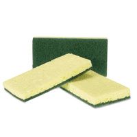 Buy AmerCareRoyal Heavy-Duty Scrubbing Sponge