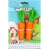Buy AE Cage Company Nibbles Carrot Loofah Chew Toys with Jute
