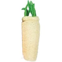 Buy AE Cage Company Nibbles Daikon Loofah Chew Toy Large
