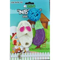 Buy AE Cage Company Nibbles Eggplant and Assorted Loofah Chew Toys