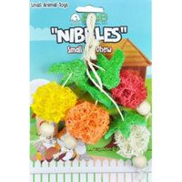 Buy AE Cage Company Nibbles Fruit Bunch Loofah Chew Toy