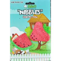 Buy AE Cage Company Nibbles Strawberry and Watermelon Loofah Chew Toys