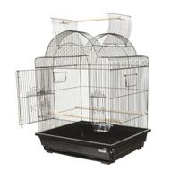 Buy AE Cage Company Victorian open Top Bird Cage