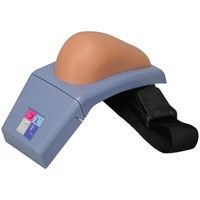 Buy A3BS Dry Intramuscular Injection Simulator Model