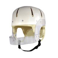 Buy Danmar Hard Shell Helmet with Face Bar