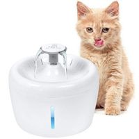 Buy All Fur You Whisper Water Fountain