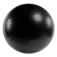 Buy Power System Versa Ball PRO Stability Ball