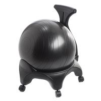 Buy Aeromat Stability Ball Chair