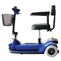 Buy Zipr Three Wheel Traveler Scooter