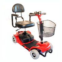 Buy Zipr Four Wheel Traveler Scooter