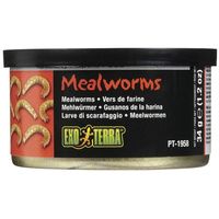 Buy Exo Terra Canned Mealworms Specialty Reptile Food